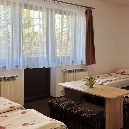 Pensjonat Gościnne Wierszyki Zakopane